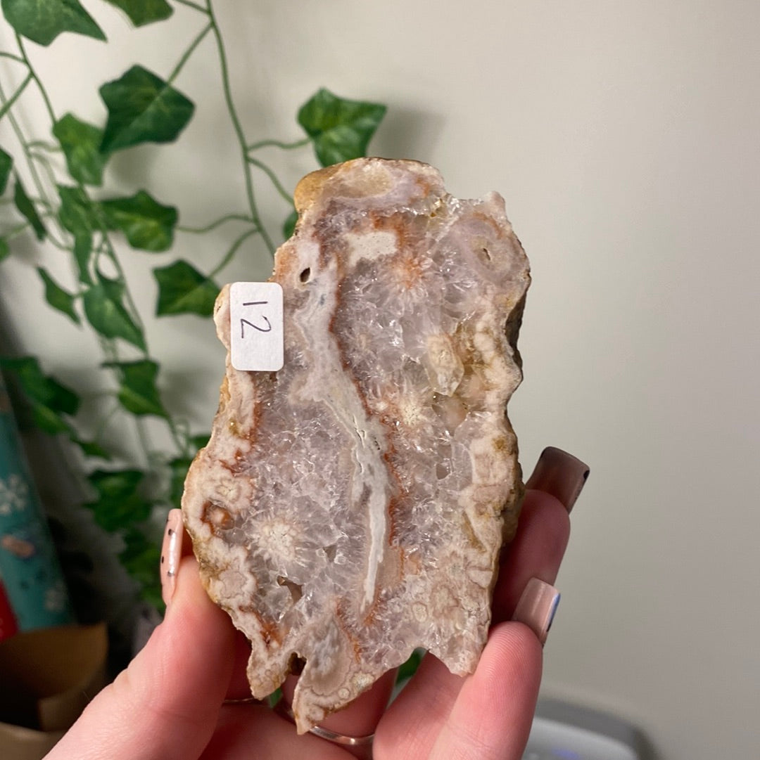 Flower Agate Slabs