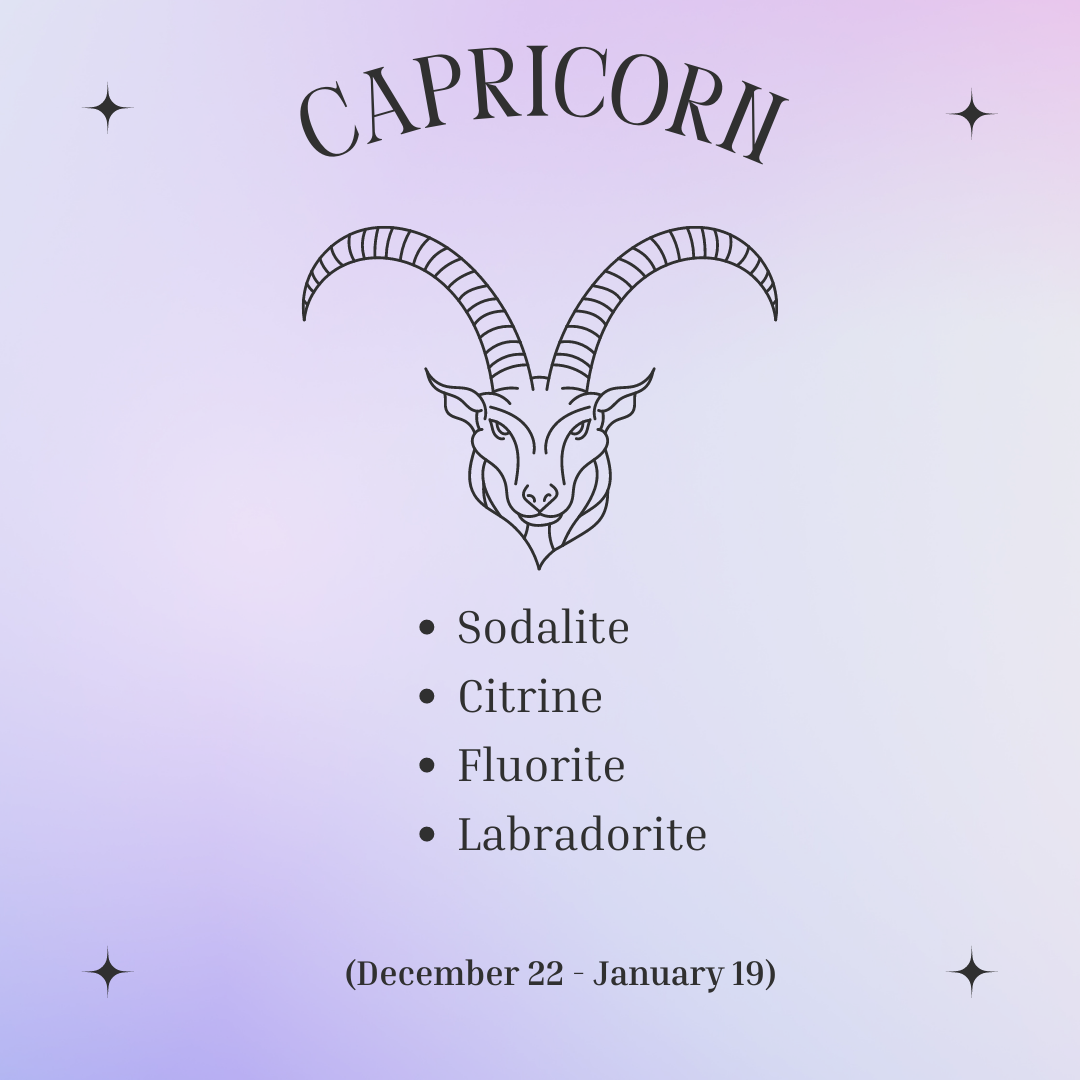 Capricorn Bundle