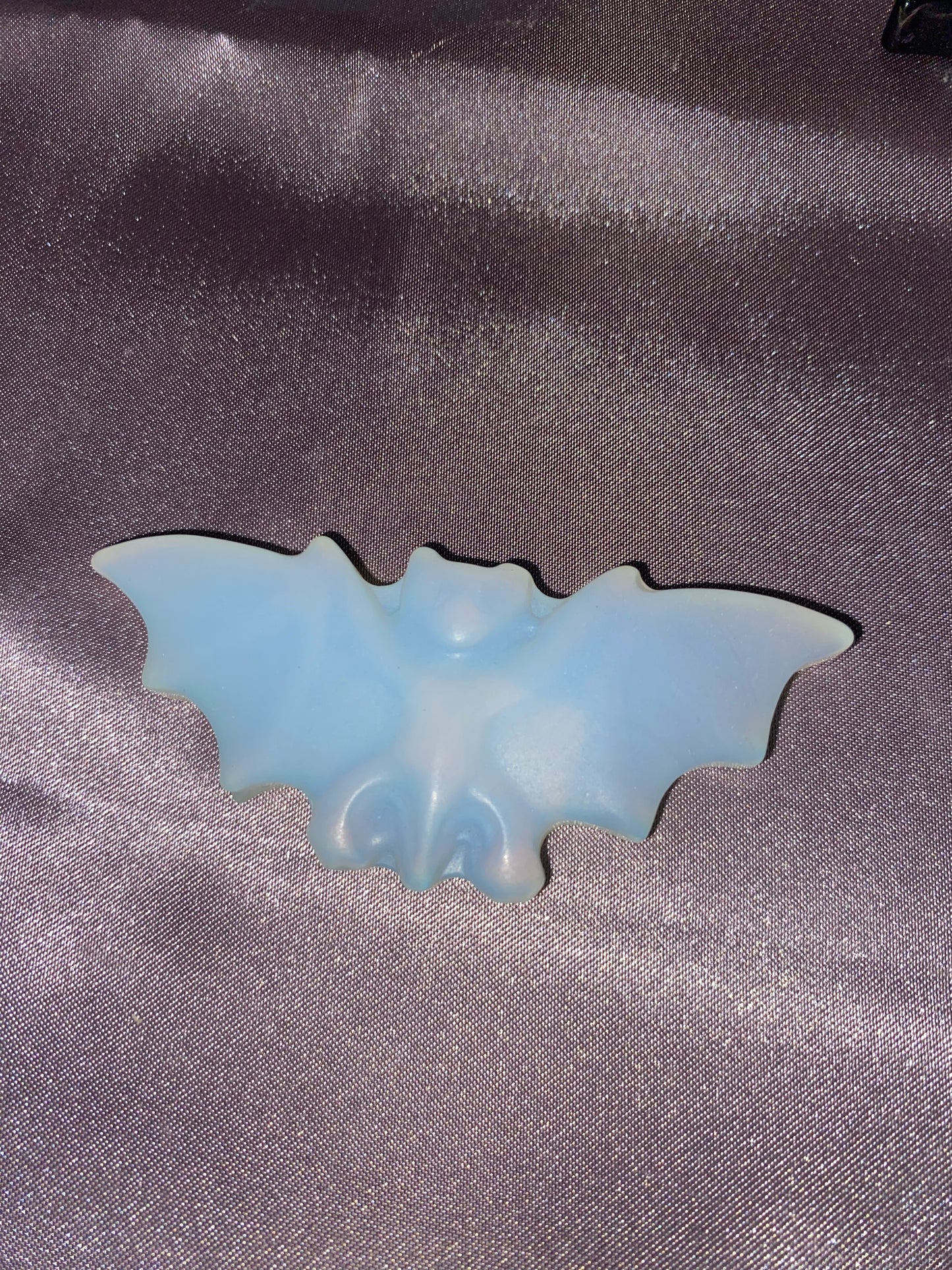 Bats