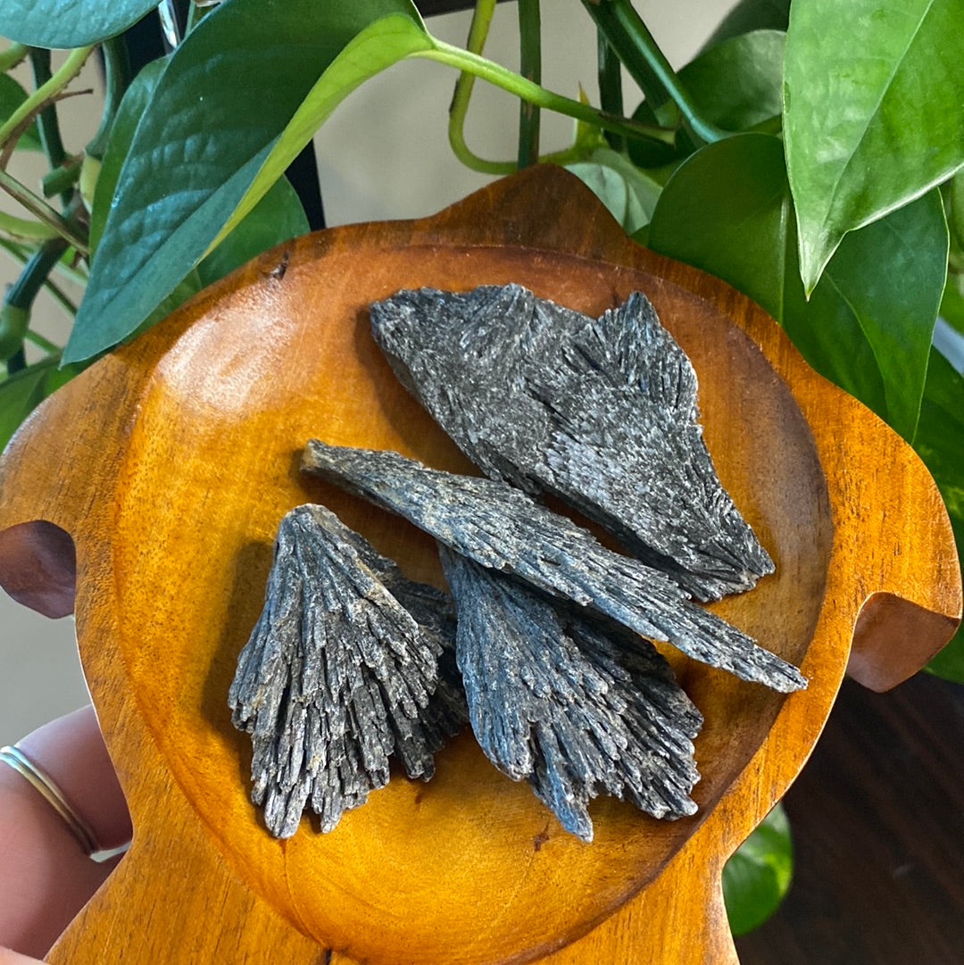 Black Kyanite Fans