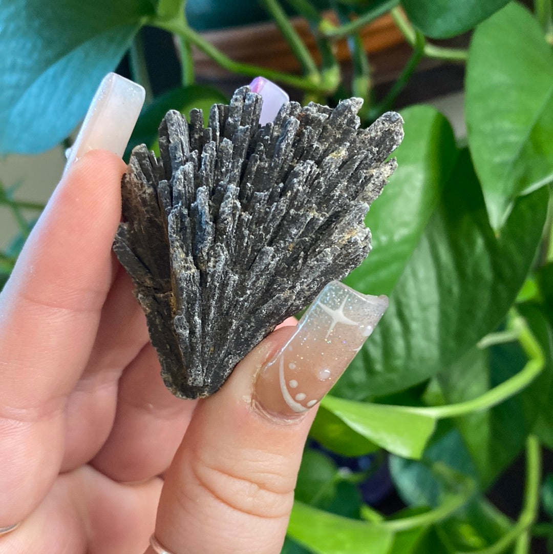 Black Kyanite Fans