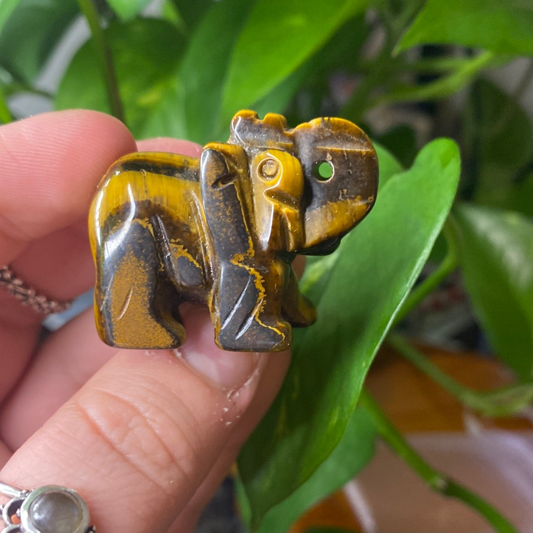 Mystery Elephant Carving