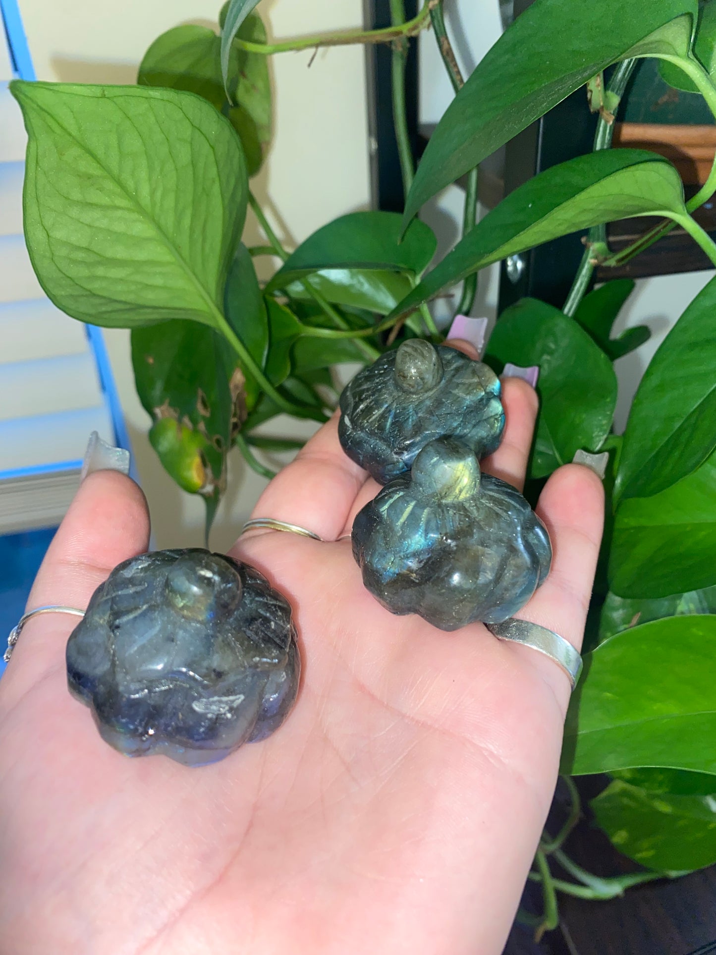 Labradorite Pumpkins