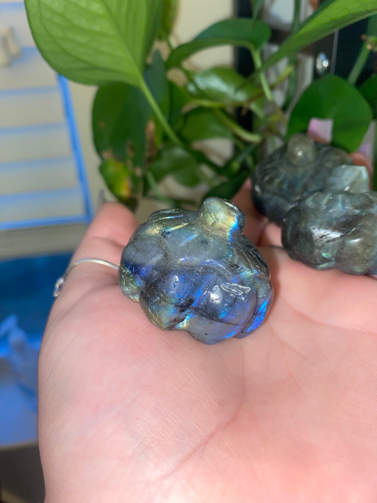 Labradorite Pumpkins