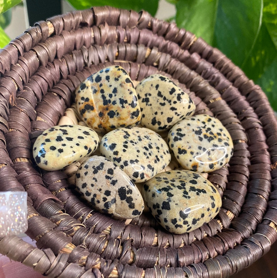 Dalmatian Jasper Tumble