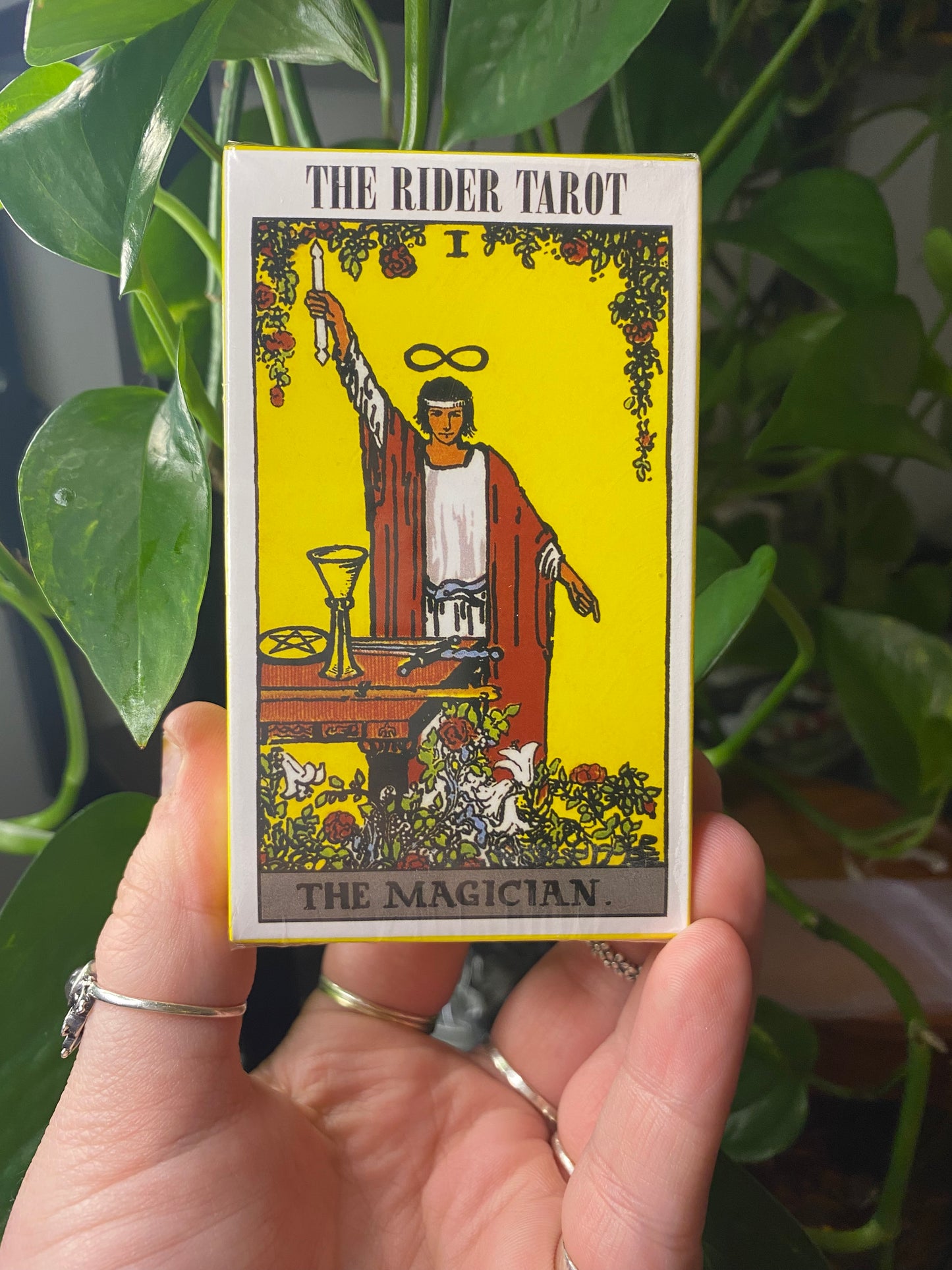 The Rider Tarot