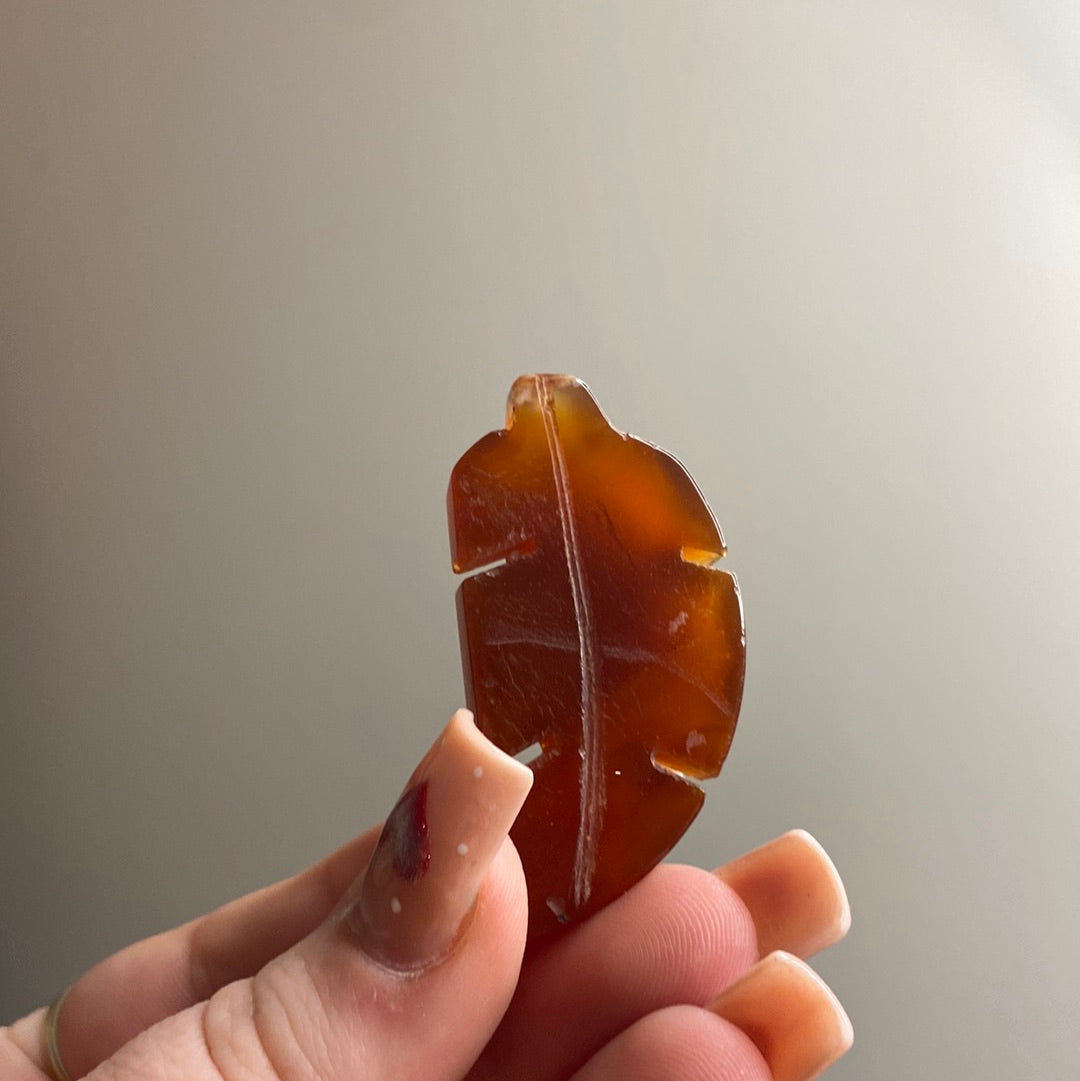 Carnelian Leaf