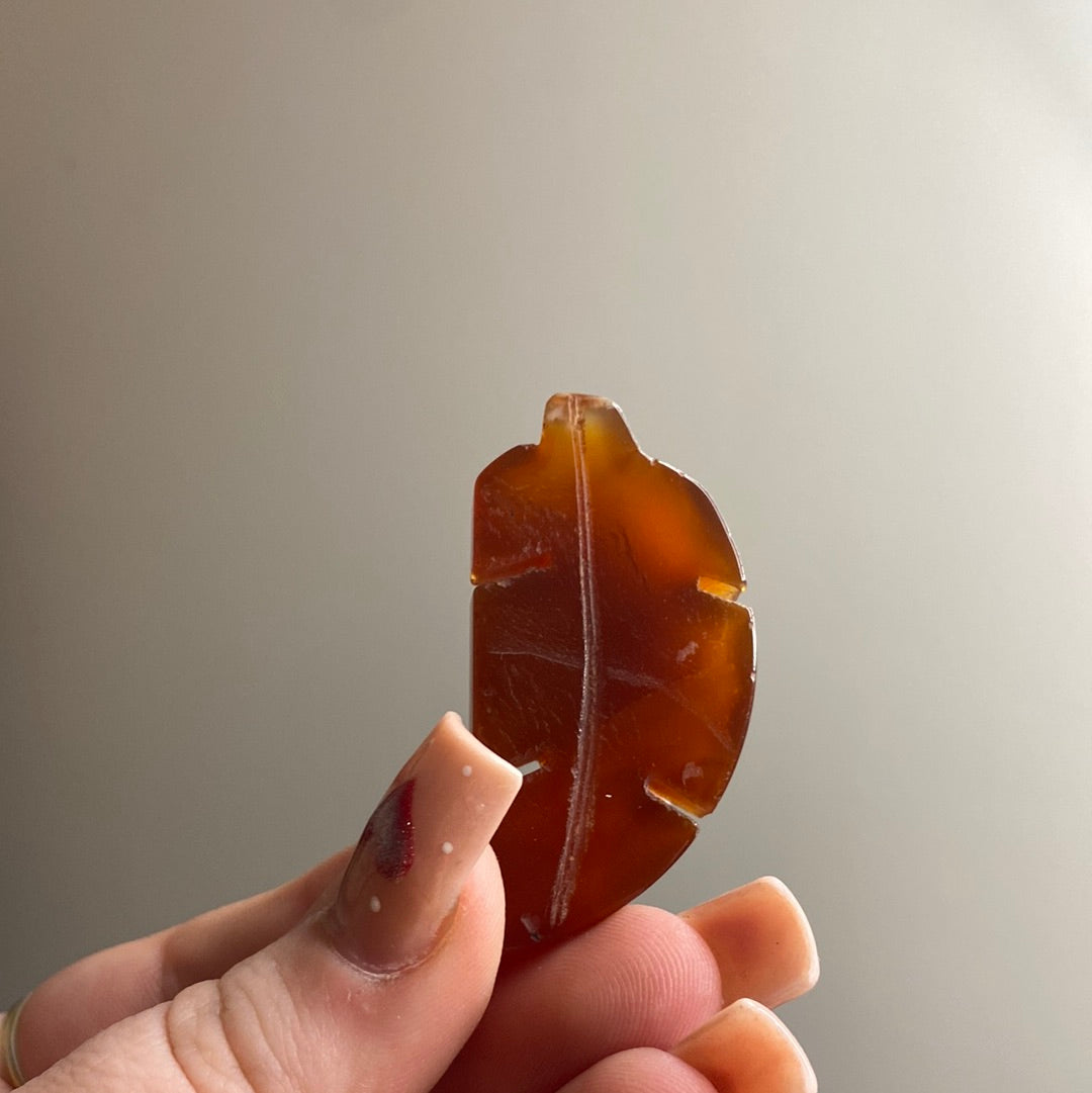 Carnelian Leaf