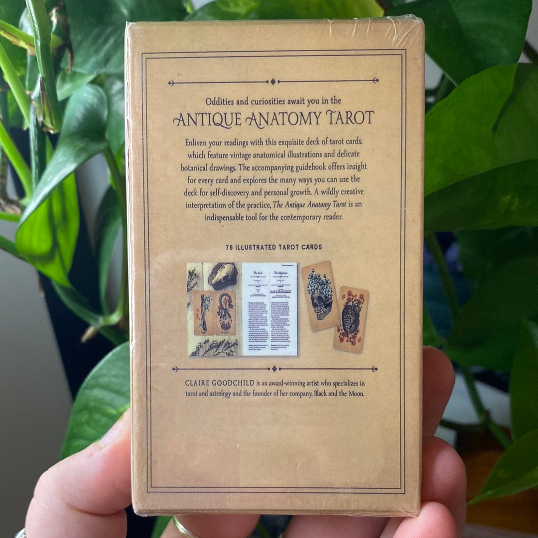 The Antique Anatomy Tarot