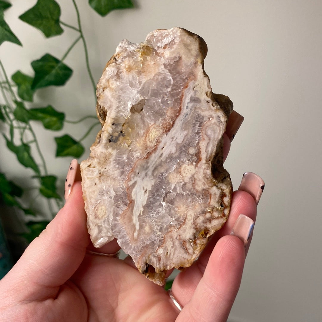 Flower Agate Slabs