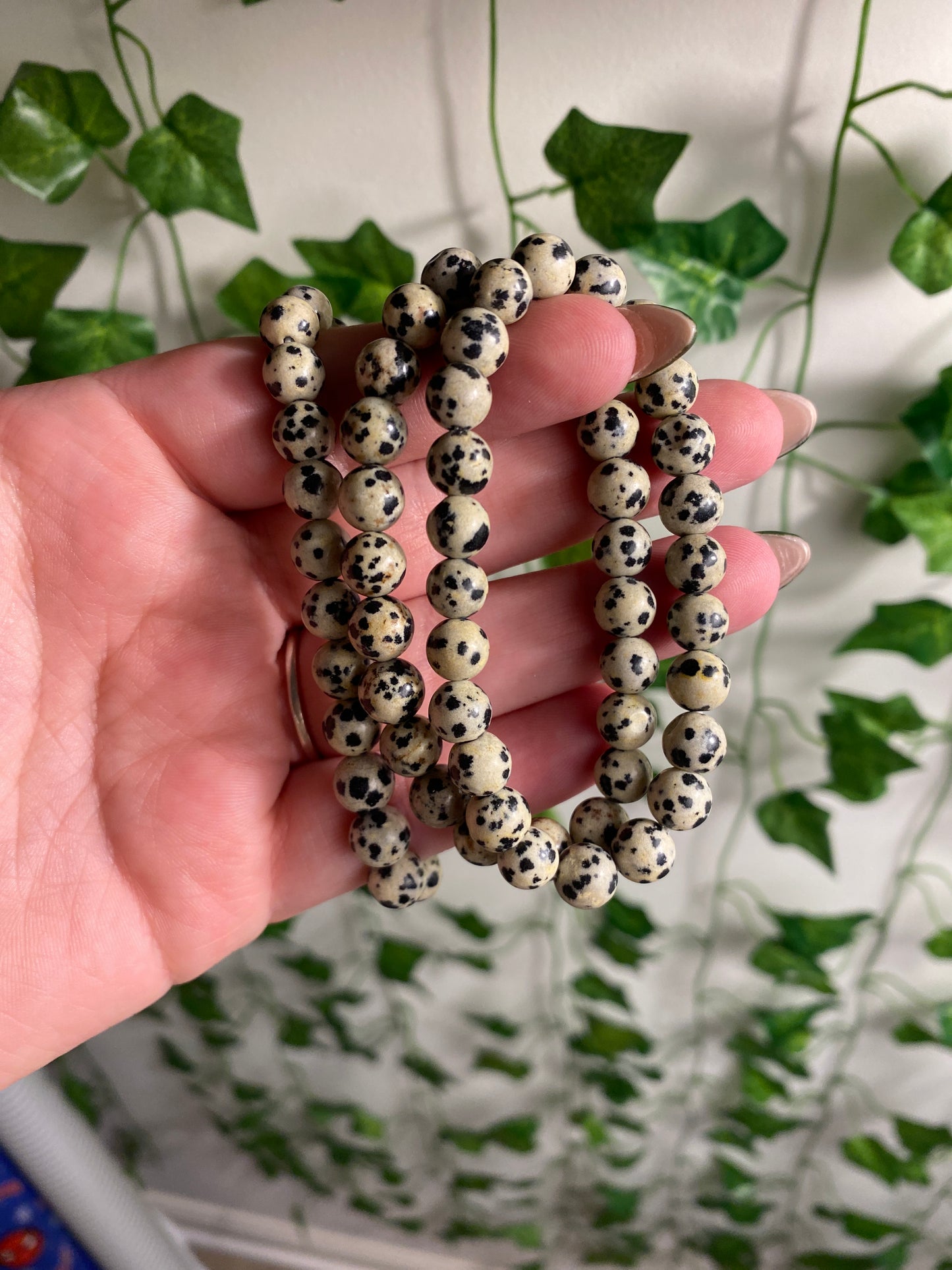 Dalmatian Jasper Bracelet