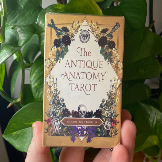 The Antique Anatomy Tarot