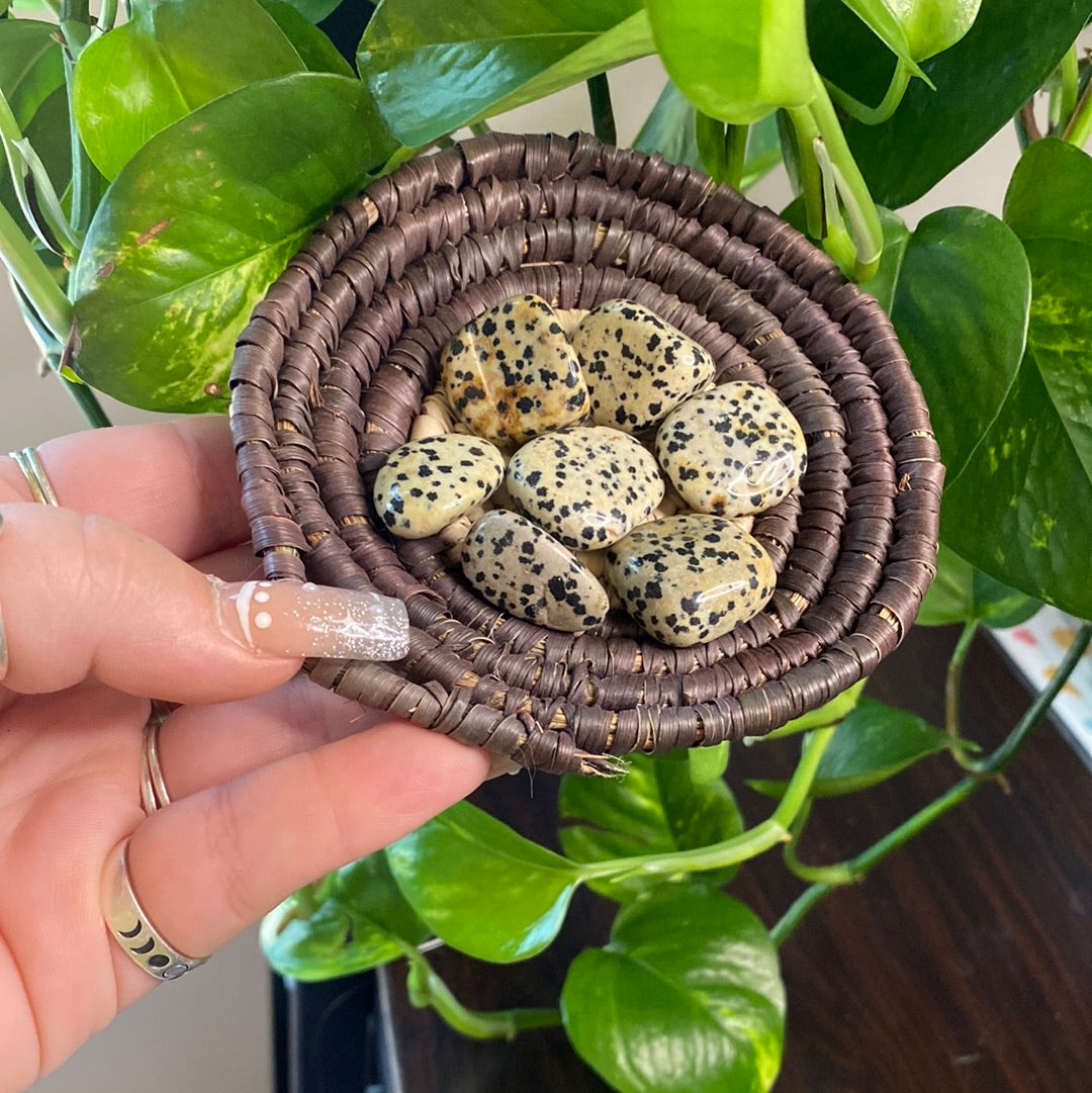 Dalmatian Jasper Tumble