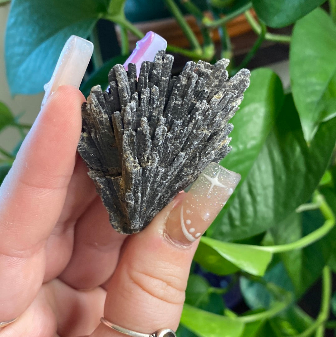 Black Kyanite Fans