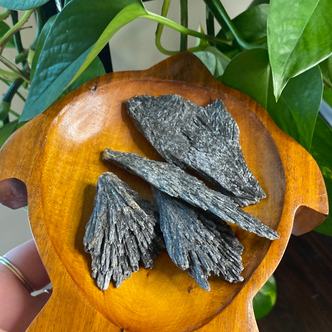 Black Kyanite Fans