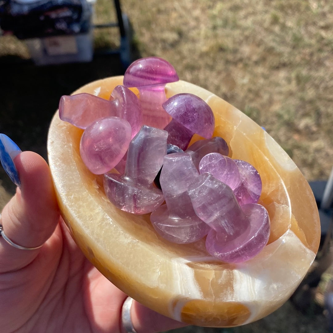 Medium Size Fluorite Mushroom