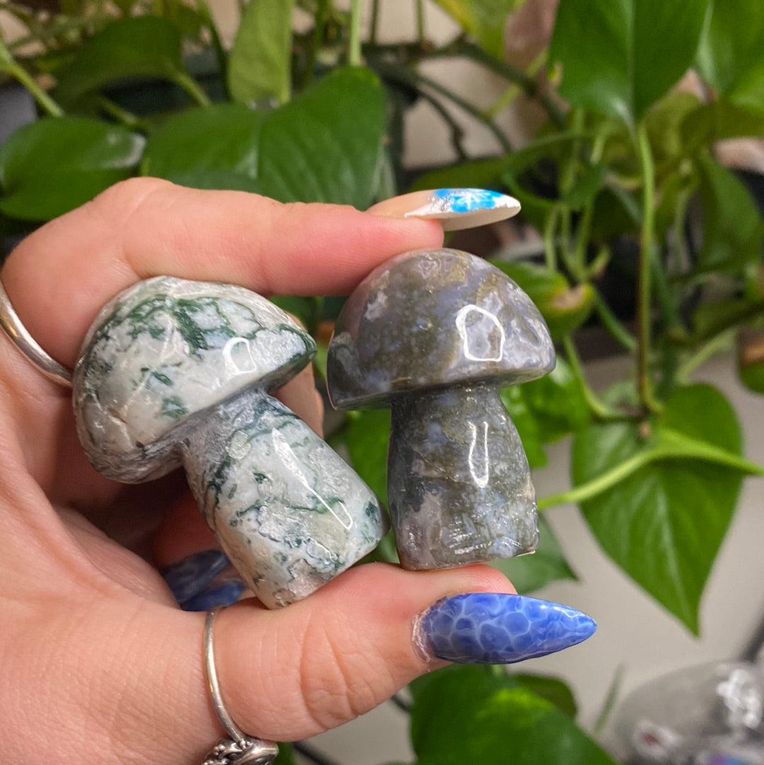 Moss Agate Mushroom