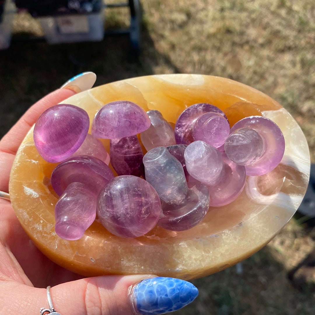 Medium Size Fluorite Mushroom